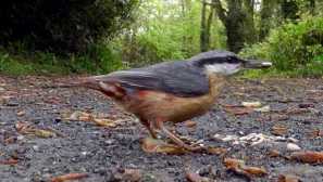 Nezvyčajné a úžasné rýchle